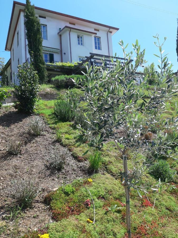 Villa Pavone Coreglia Antelminelli المظهر الخارجي الصورة